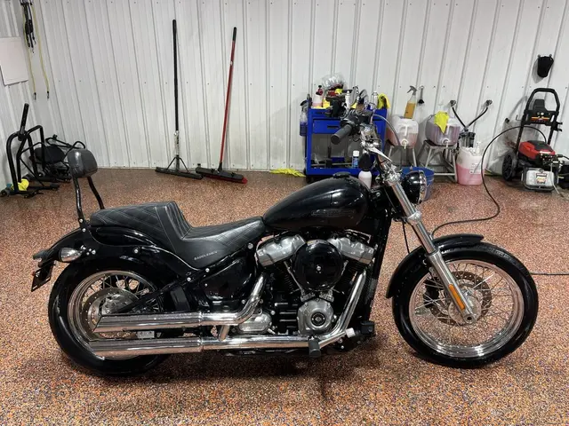 2020 Harley-Davidson Softail Standard