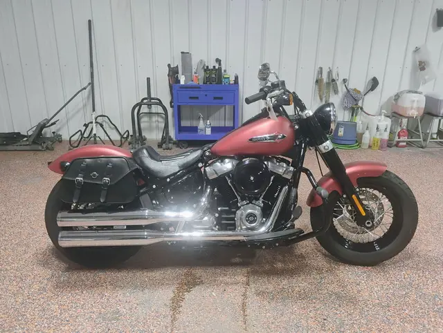 2019 Harley-Davidson Softail Slim
